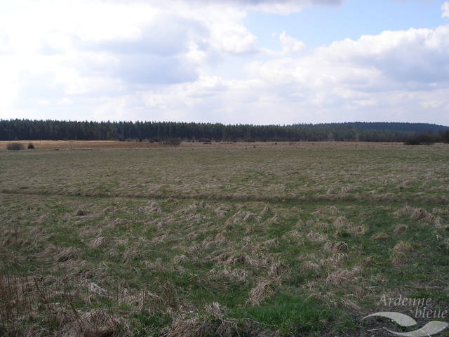 PAYS - Fagnes